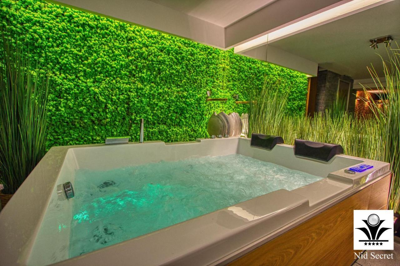 Panoramique 180 Lac Et Montagne Et Nid Secret Spa Romantique Annecy Dış mekan fotoğraf